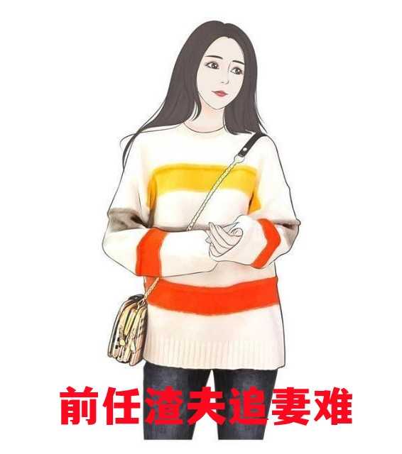 前任渣夫追妻难