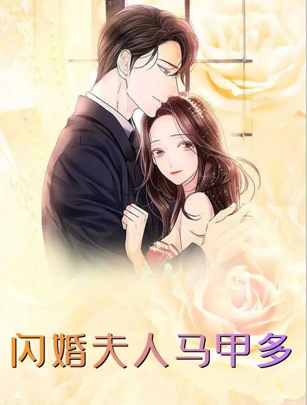 闪婚夫人马甲多